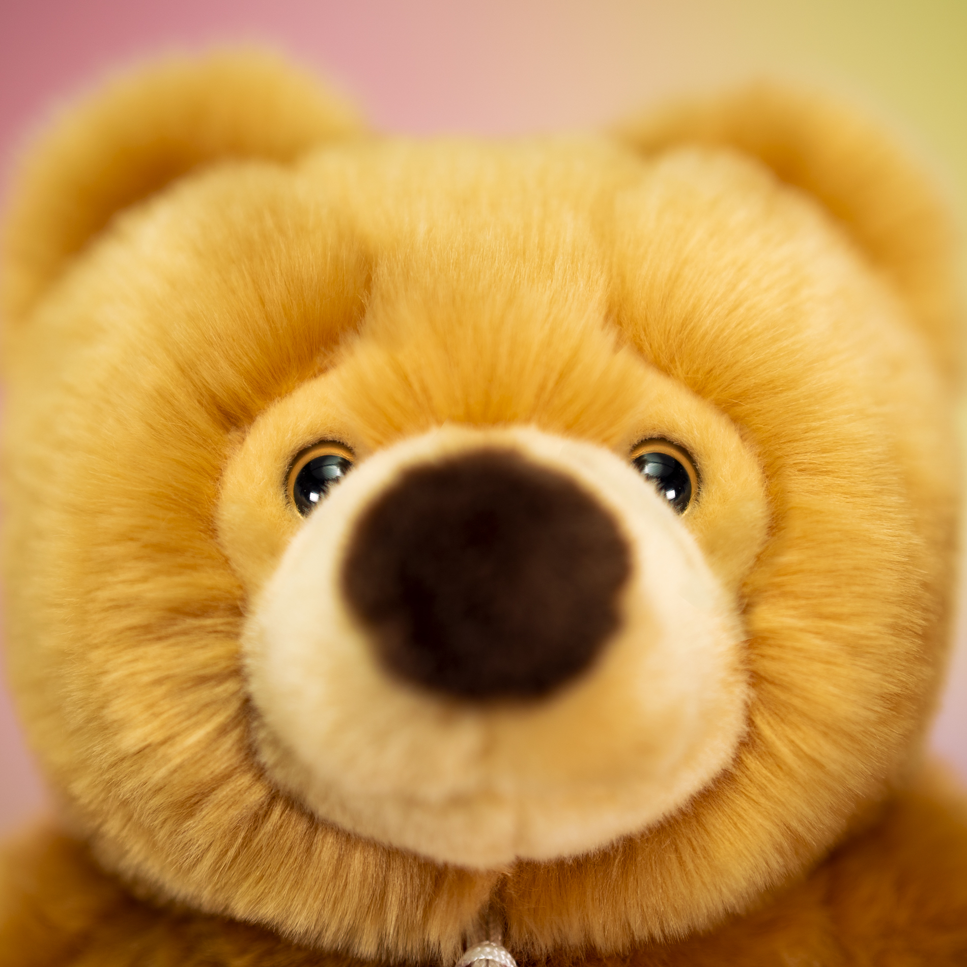trudi-orso-ettore-peluche-classico-color-miele-pelo-lungo image 5