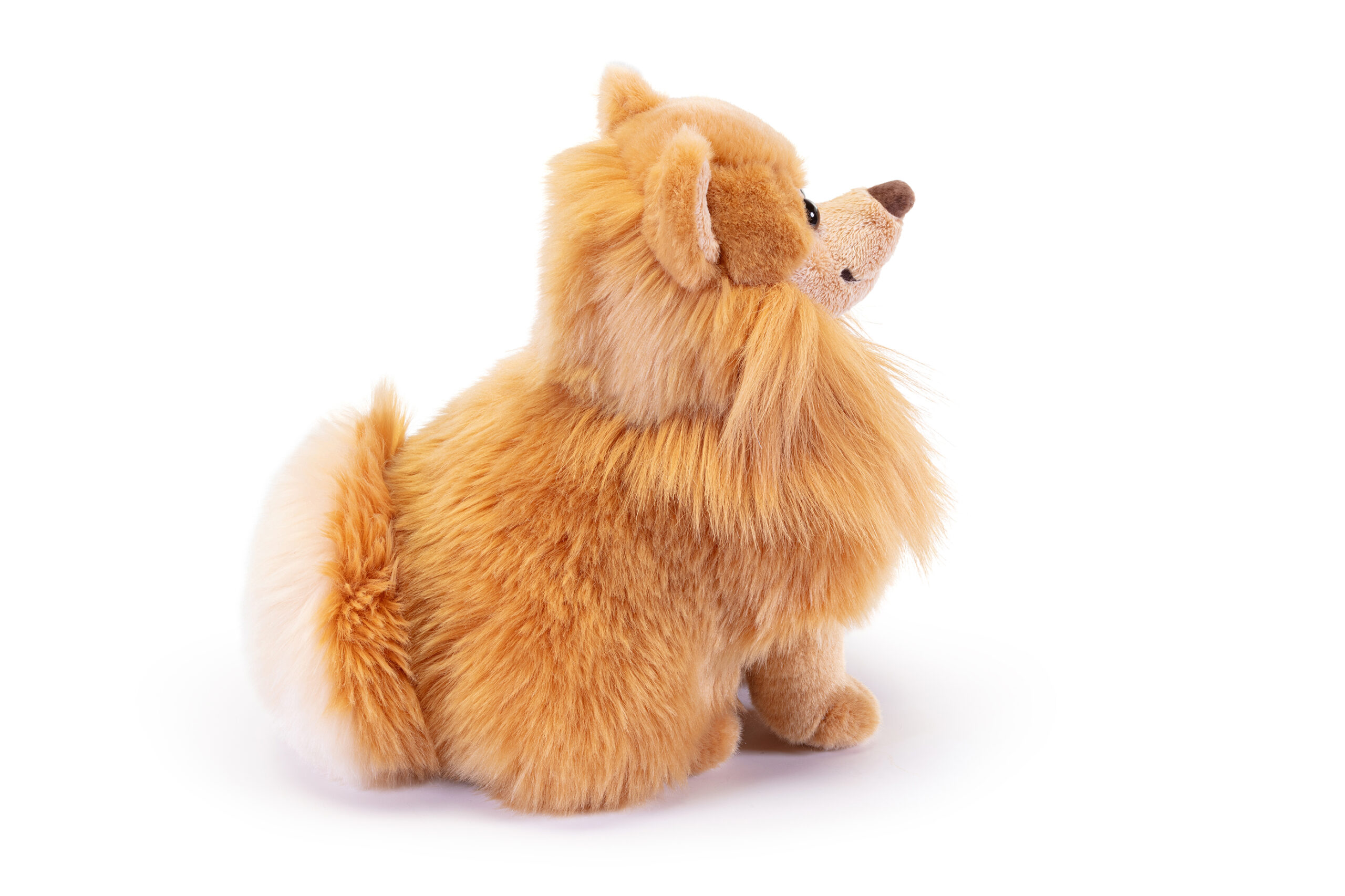trudi-pomerania-biscuit-peluche-cane-volpino-biscotto image 4