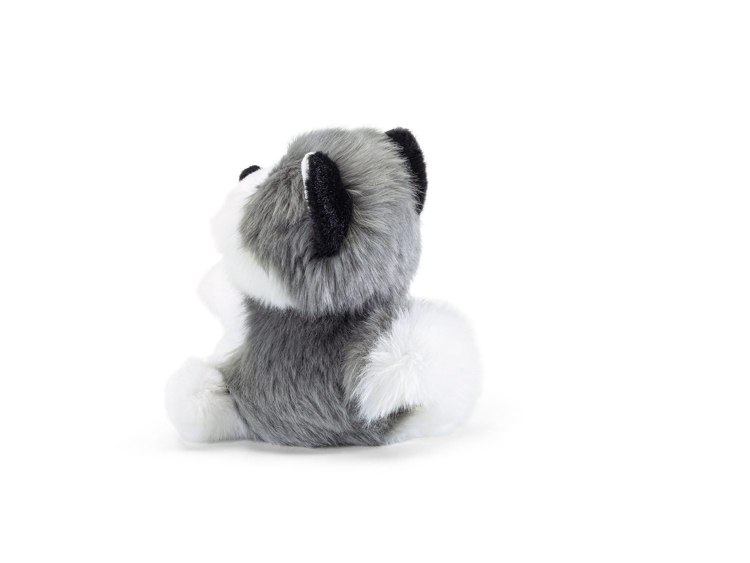 trudi-fluffy-husky-peluche image 3