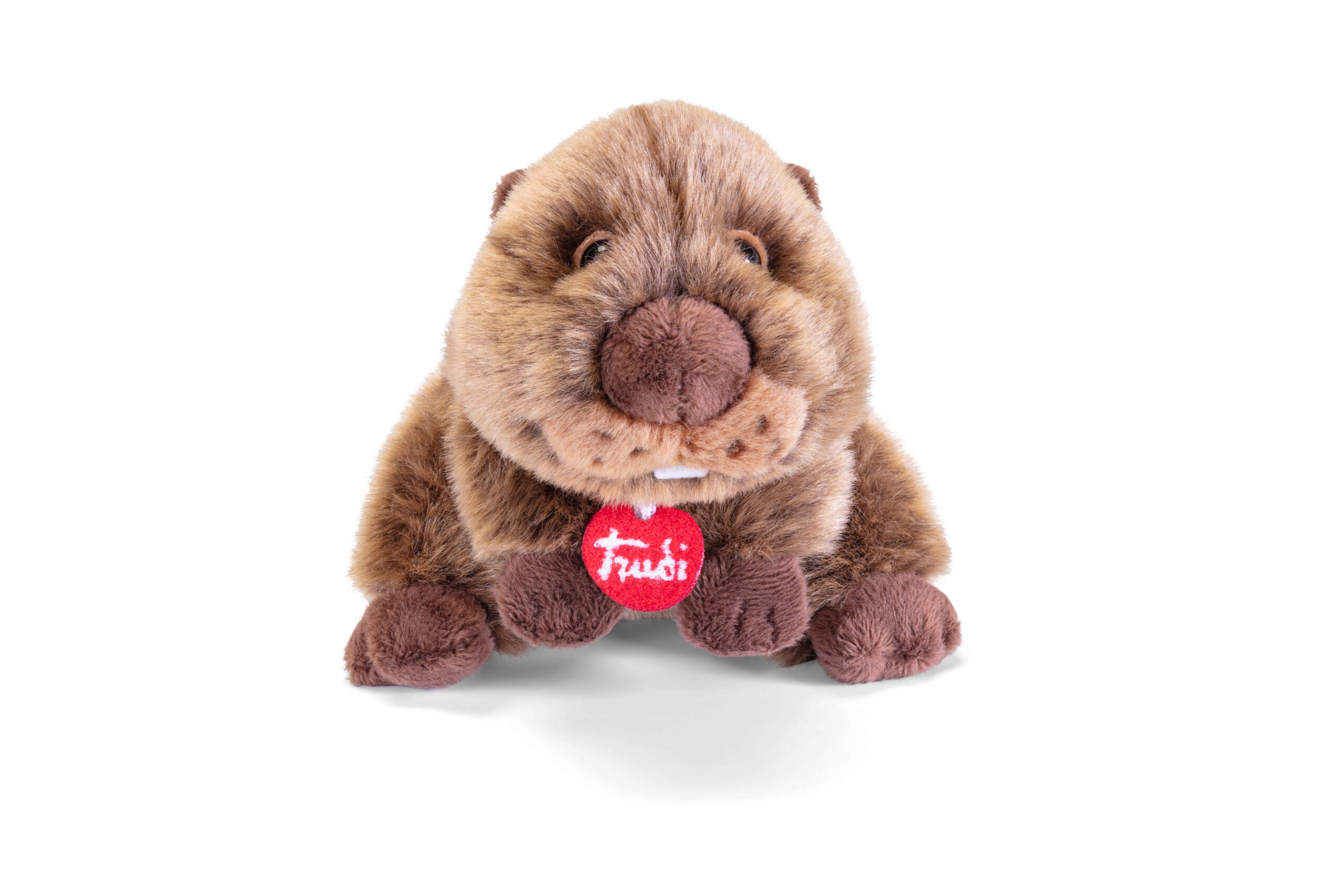 trudi-trudino-castoro-peluche image 2