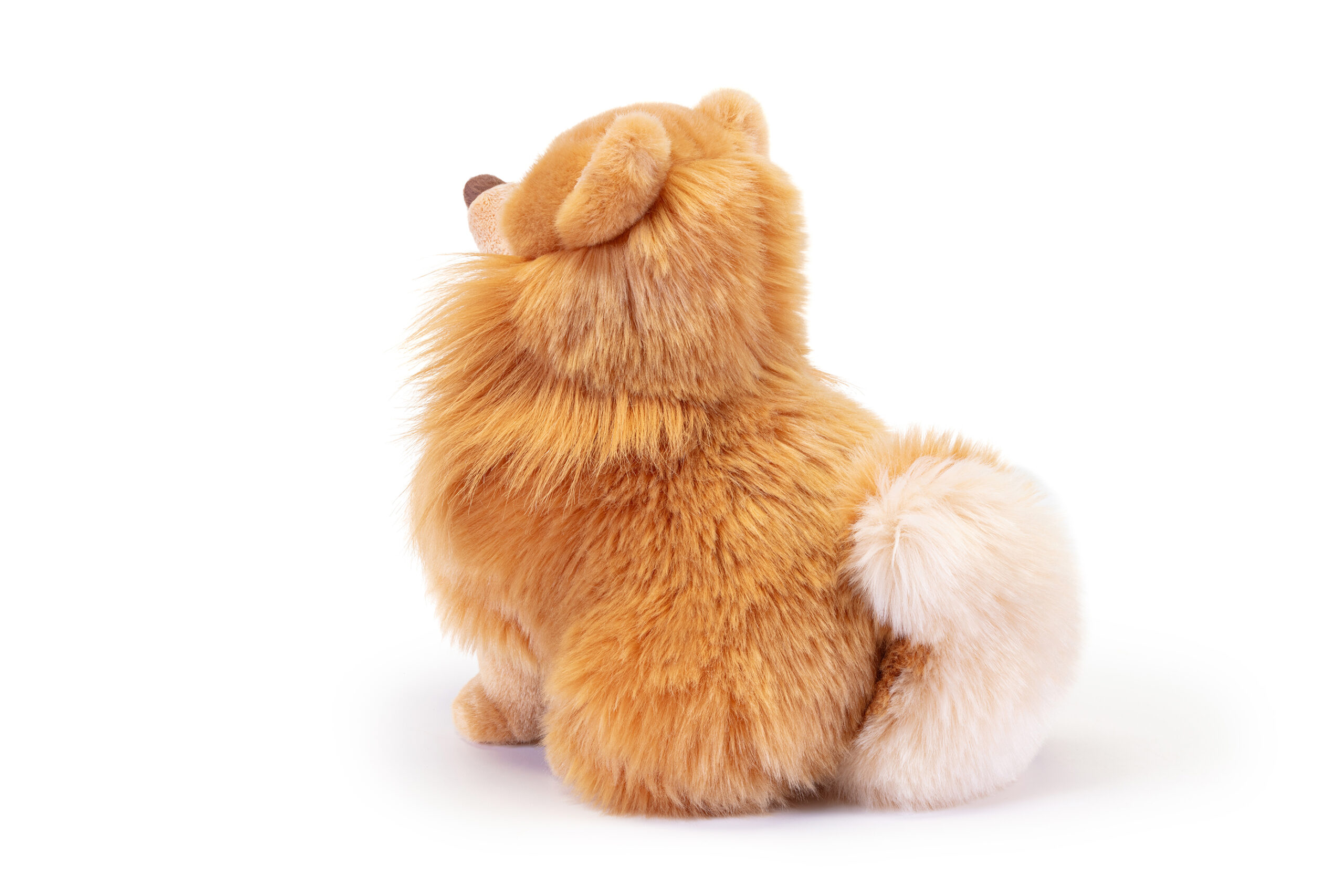trudi-pomerania-biscuit-peluche-cane-volpino-biscotto image 5