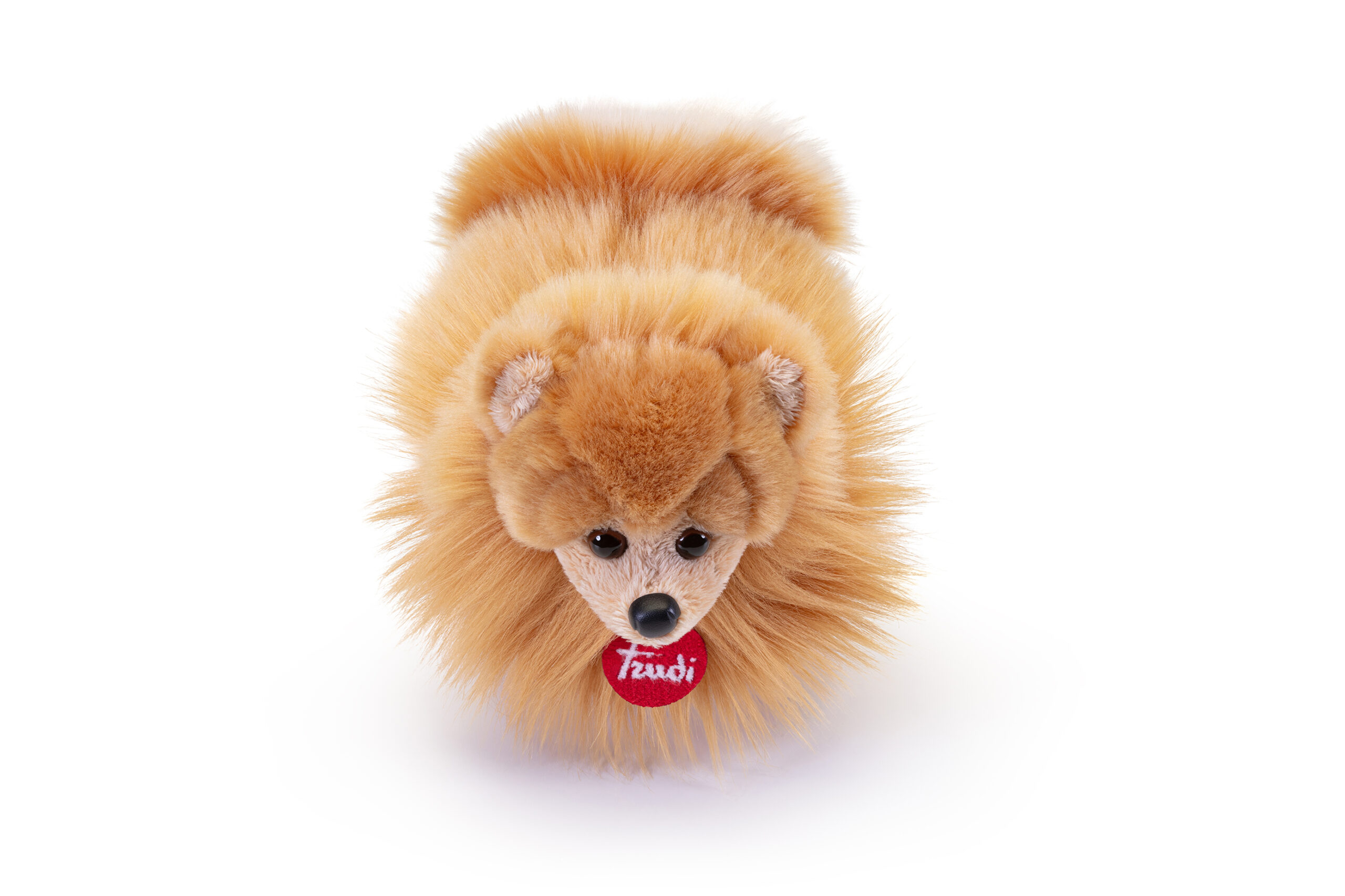 trudi-pomerania-biscuit-peluche-cane-volpino-biscotto image 2