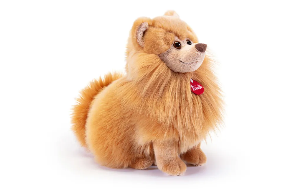 trudi-pomerania-biscuit-peluche-cane-volpino-biscotto image 1