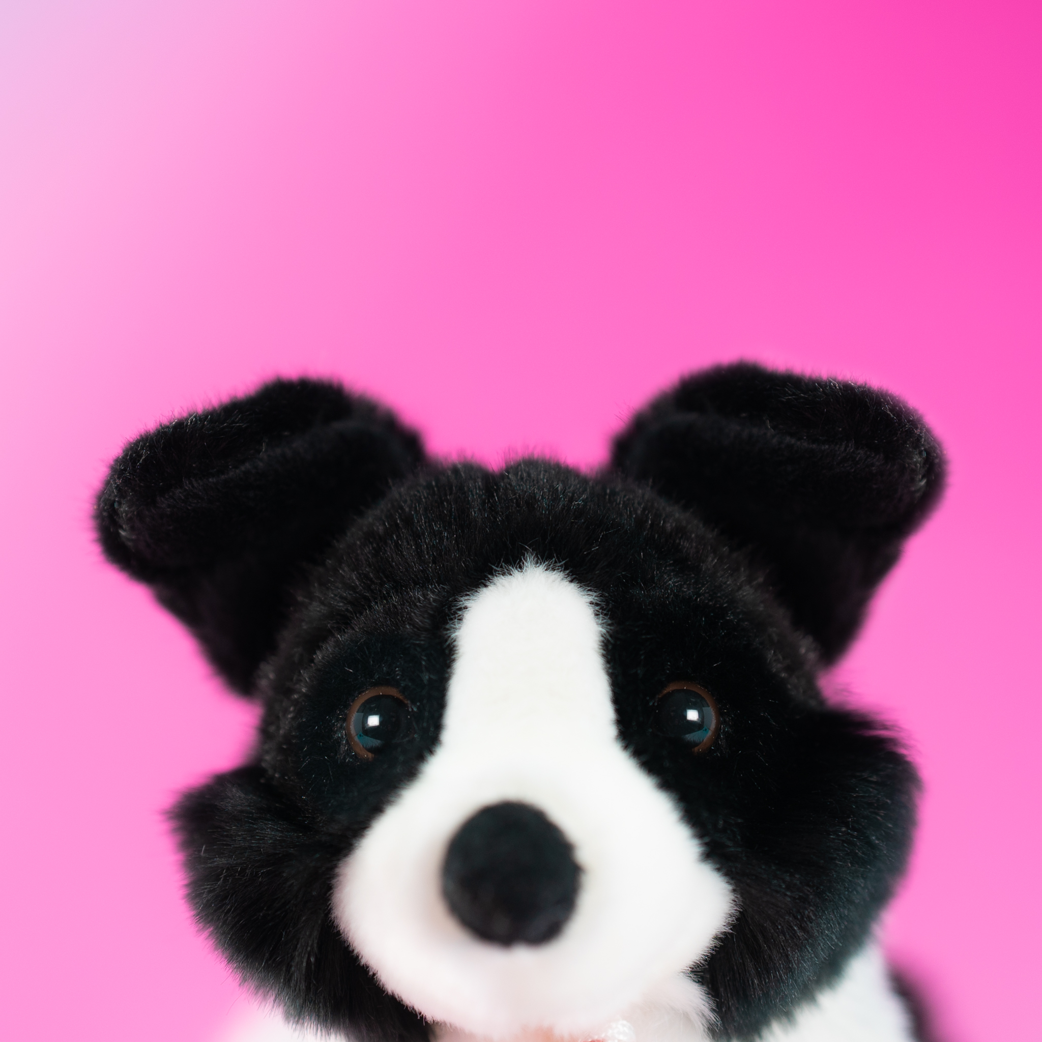 trudi-border-collie-scott-peluche-cane-s-m-xl image 4