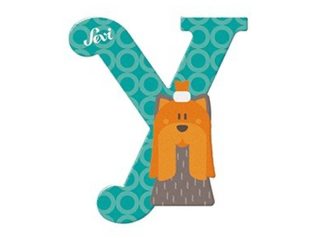 sevi-trudi-lettera-y-yorkshire-terrier-lettera-in-legno image 1