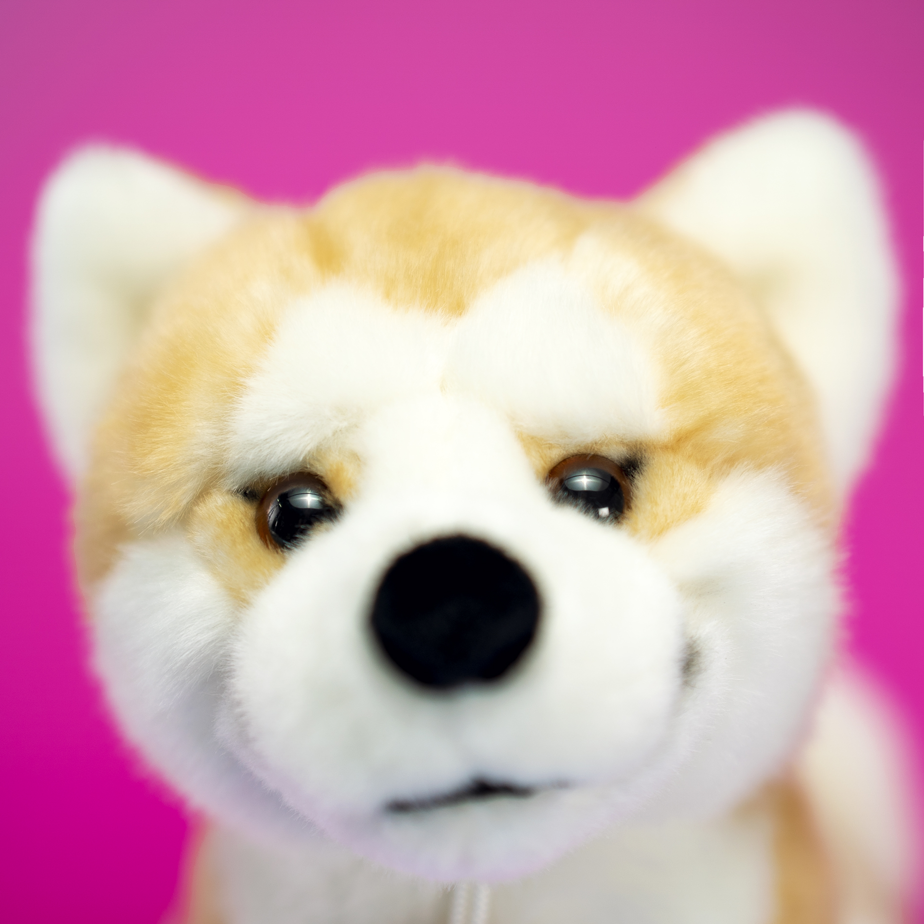 trudi-akita-ascanio-cane-peluche-realistico-the-puppies image 2