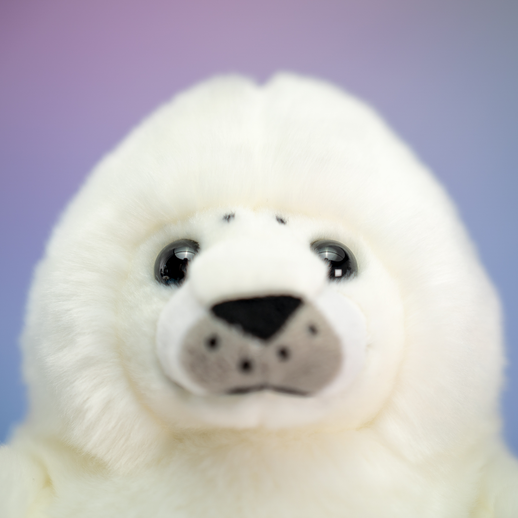 trudi-foca-bianca-peluche-trudi-sealife image 4