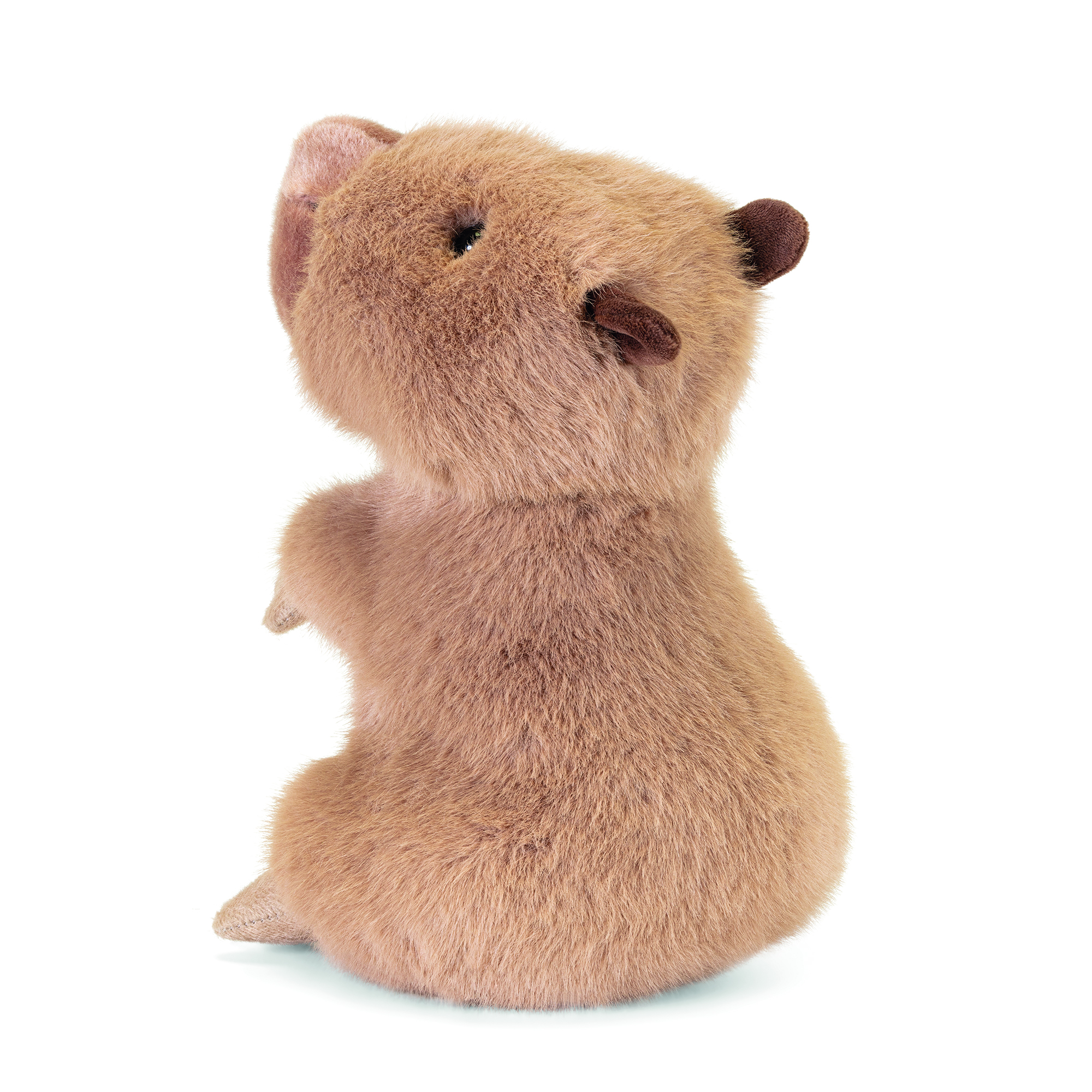 trudi-capibara-furio-peluche-bizzarri image 3